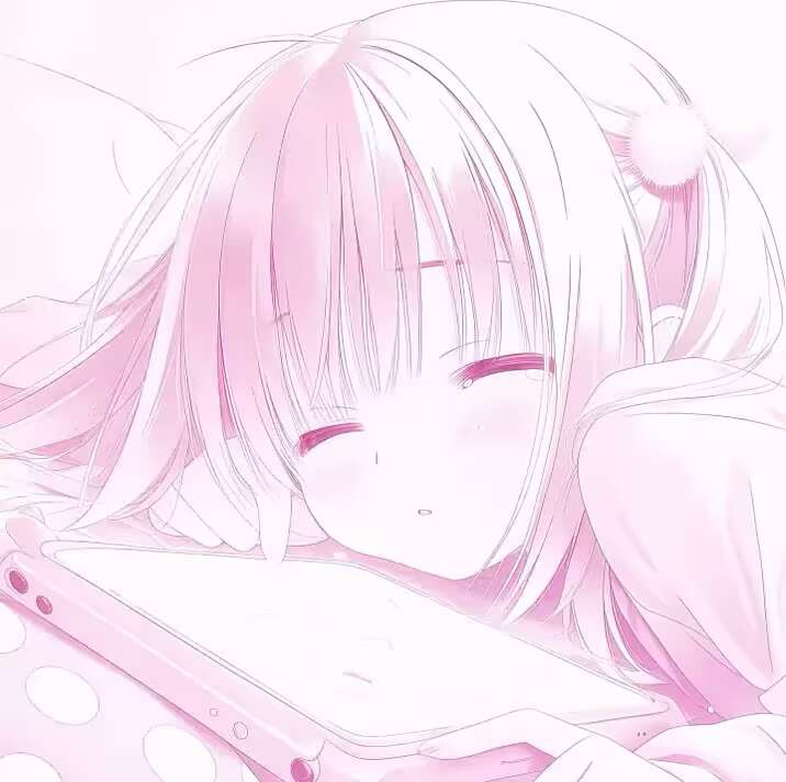 芯片永久